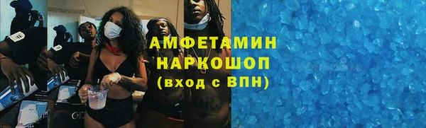 мет Алексин