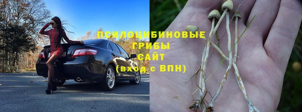 мет Алексин