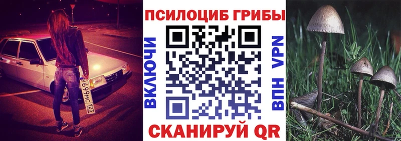 Псилоцибиновые грибы Cubensis Орёл